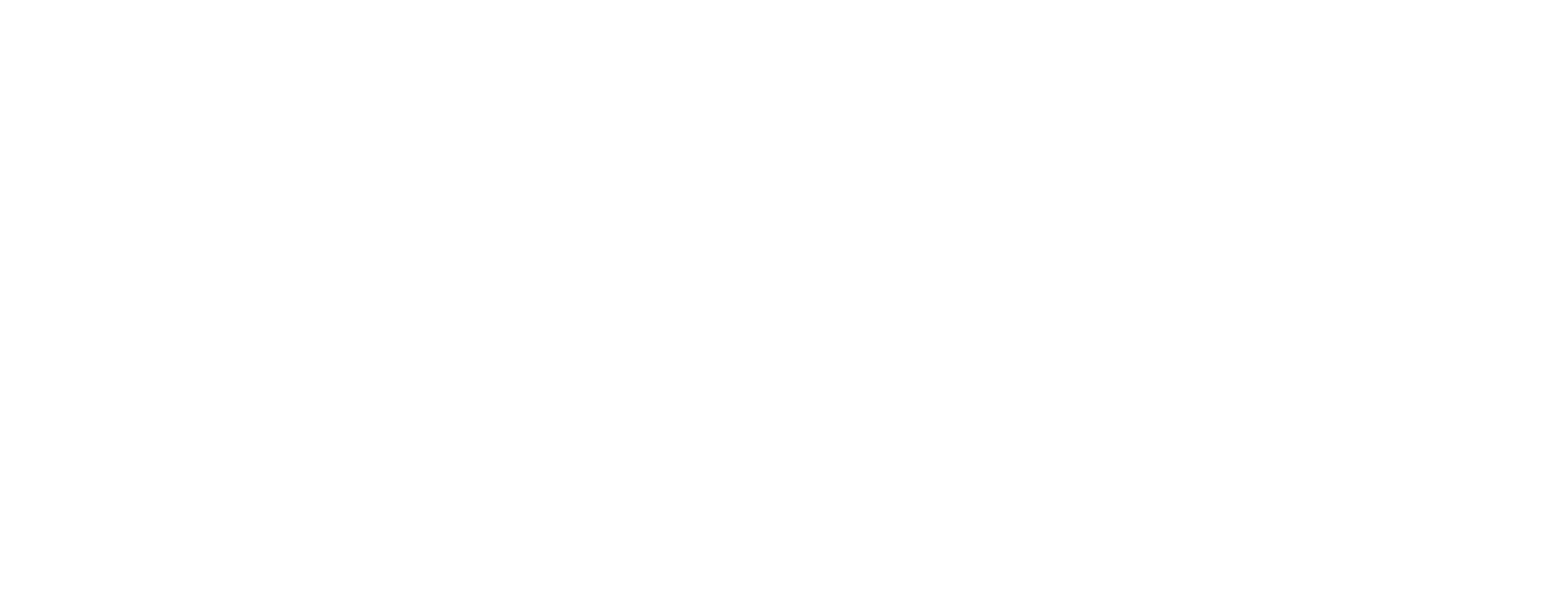 SALUM DUQUE